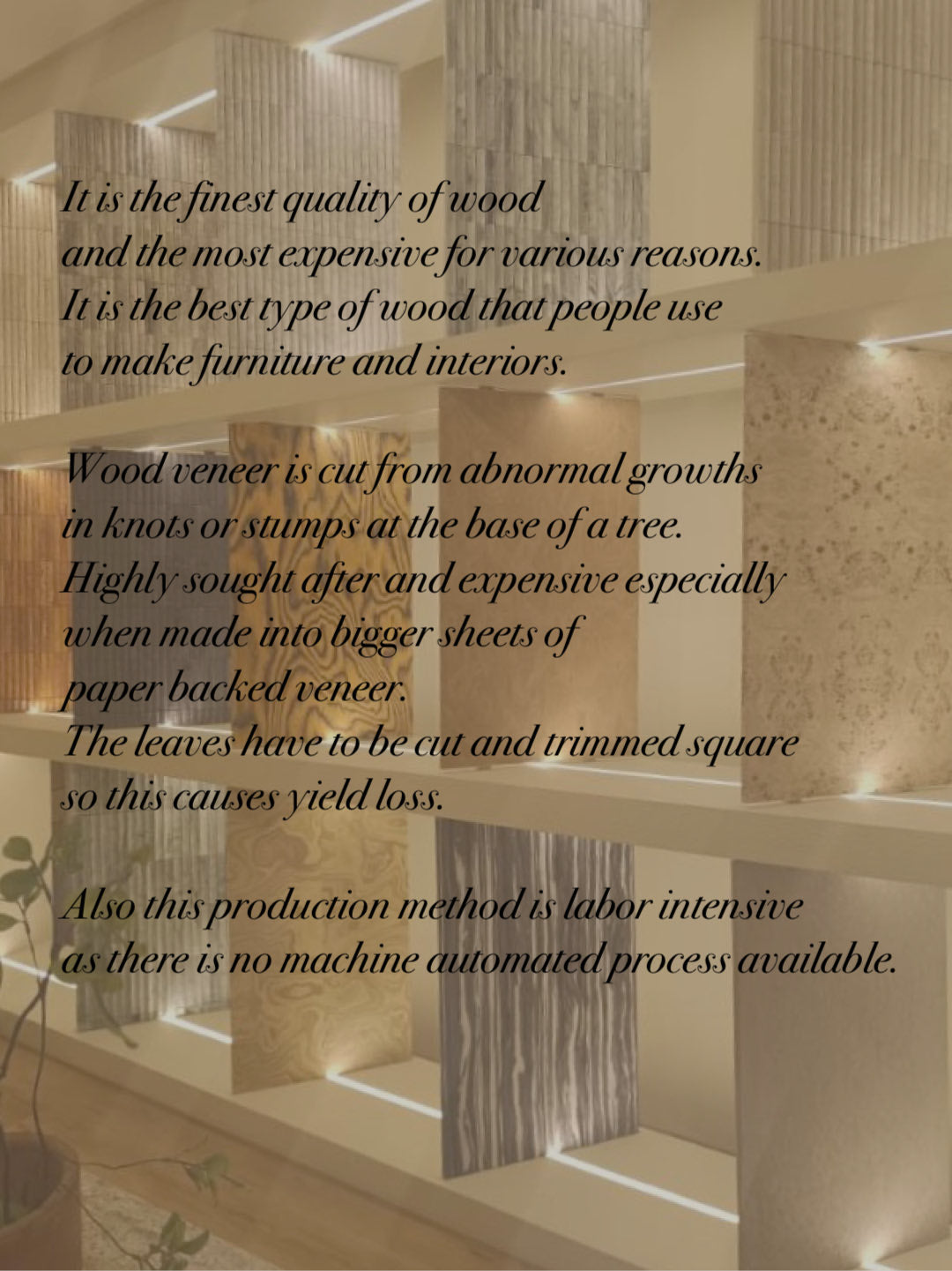 WOOD VENEER